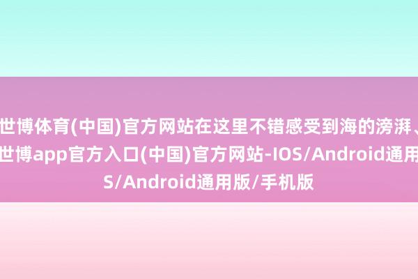 世博体育(中国)官方网站在这里不错感受到海的滂湃、山的派头-世博app官方入口(中国)官方网站-IOS/Android通用版/手机版