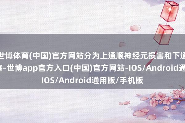 世博体育(中国)官方网站分为上通顺神经元损害和下通顺神经元损害-世博app官方入口(中国)官方网站-IOS/Android通用版/手机版