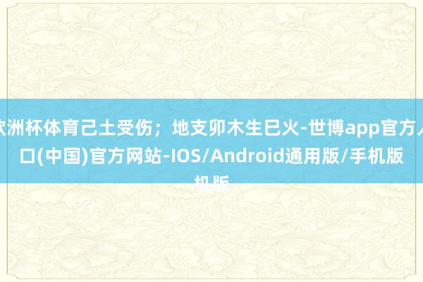 欧洲杯体育己土受伤；地支卯木生巳火-世博app官方入口(中国)官方网站-IOS/Android通用版/手机版