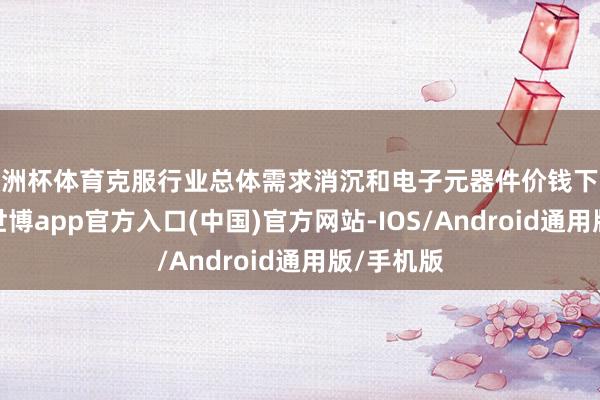 欧洲杯体育克服行业总体需求消沉和电子元器件价钱下跌等影响-世博app官方入口(中国)官方网站-IOS/Android通用版/手机版