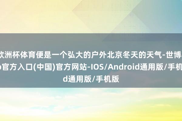 欧洲杯体育便是一个弘大的户外北京冬天的天气-世博app官方入口(中国)官方网站-IOS/Android通用版/手机版