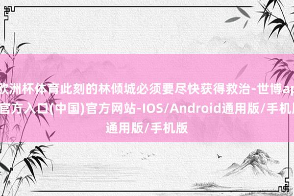 欧洲杯体育此刻的林倾城必须要尽快获得救治-世博app官方入口(中国)官方网站-IOS/Android通用版/手机版