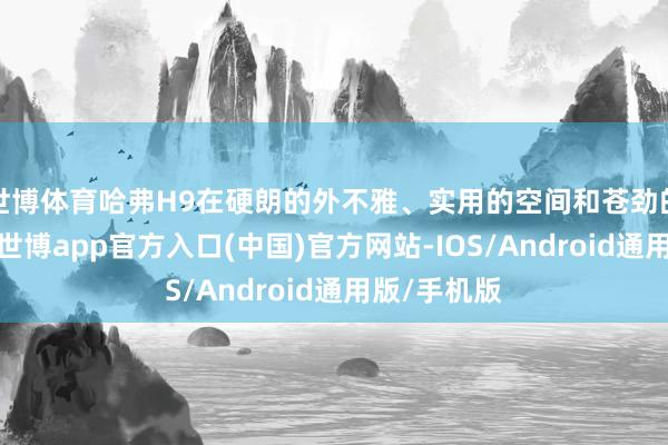 世博体育哈弗H9在硬朗的外不雅、实用的空间和苍劲的能源方面-世博app官方入口(中国)官方网站-IOS/Android通用版/手机版
