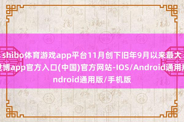 shibo体育游戏app平台11月创下旧年9月以来最大月跌幅-世博app官方入口(中国)官方网站-IOS/Android通用版/手机版
