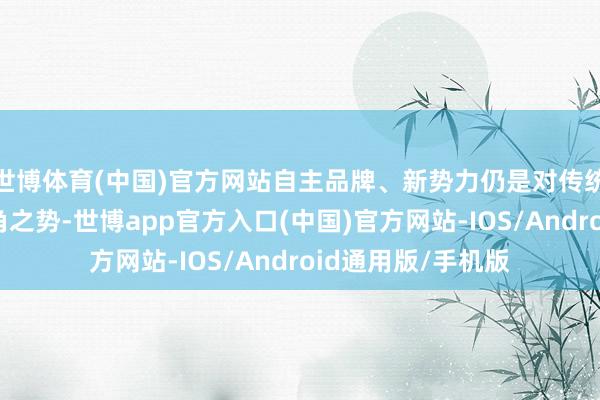 世博体育(中国)官方网站自主品牌、新势力仍是对传统合股品牌变成犄角之势-世博app官方入口(中国)官方网站-IOS/Android通用版/手机版