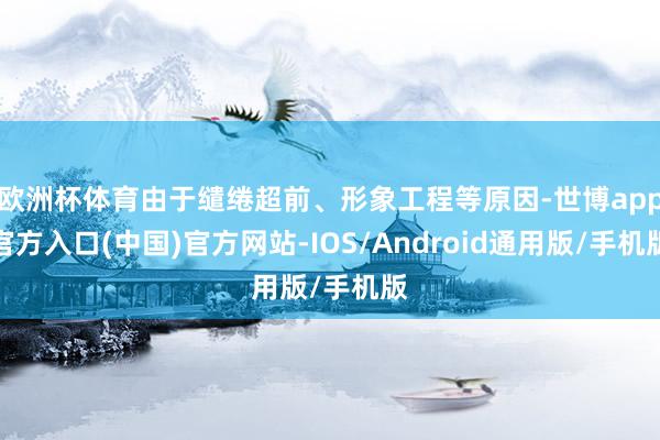 欧洲杯体育由于缱绻超前、形象工程等原因-世博app官方入口(中国)官方网站-IOS/Android通用版/手机版