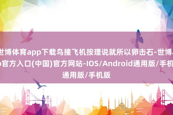世博体育app下载鸟撞飞机按理说就所以卵击石-世博app官方入口(中国)官方网站-IOS/Android通用版/手机版