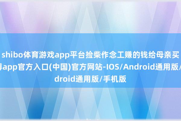 shibo体育游戏app平台捡柴作念工赚的钱给母亲买药-世博app官方入口(中国)官方网站-IOS/Android通用版/手机版