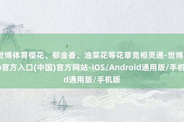 世博体育樱花、郁金香、油菜花等花草竞相灵通-世博app官方入口(中国)官方网站-IOS/Android通用版/手机版