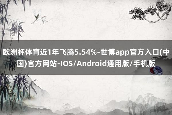 欧洲杯体育近1年飞腾5.54%-世博app官方入口(中国)官方网站-IOS/Android通用版/手机版