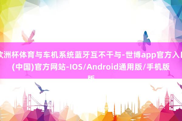 欧洲杯体育与车机系统蓝牙互不干与-世博app官方入口(中国)官方网站-IOS/Android通用版/手机版
