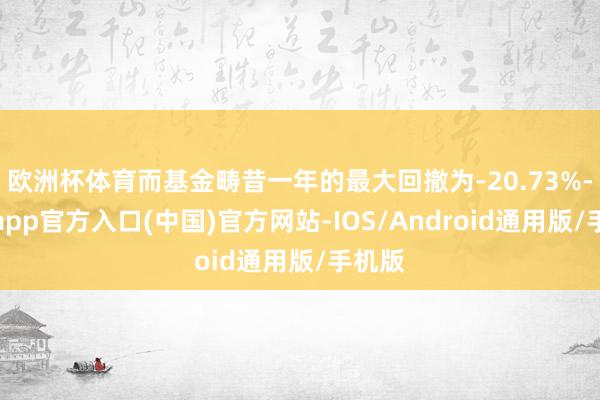 欧洲杯体育而基金畴昔一年的最大回撤为-20.73%-世博app官方入口(中国)官方网站-IOS/Android通用版/手机版