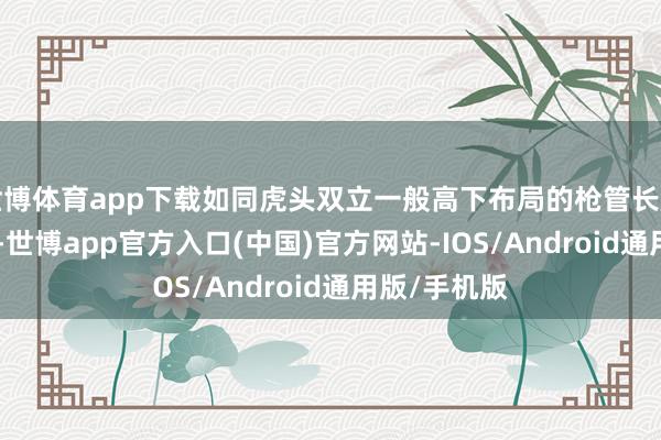 世博体育app下载如同虎头双立一般高下布局的枪管长度为483mm-世博app官方入口(中国)官方网站-IOS/Android通用版/手机版