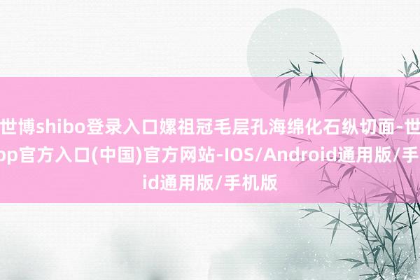世博shibo登录入口嫘祖冠毛层孔海绵化石纵切面-世博app官方入口(中国)官方网站-IOS/Android通用版/手机版