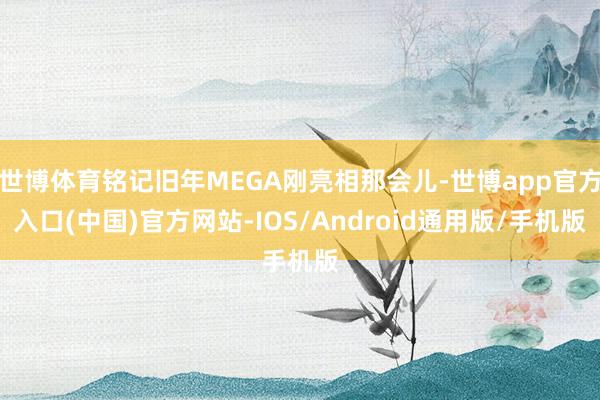 世博体育铭记旧年MEGA刚亮相那会儿-世博app官方入口(中国)官方网站-IOS/Android通用版/手机版