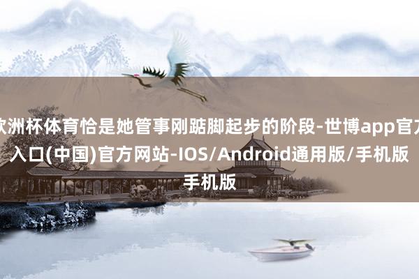 欧洲杯体育恰是她管事刚踮脚起步的阶段-世博app官方入口(中国)官方网站-IOS/Android通用版/手机版