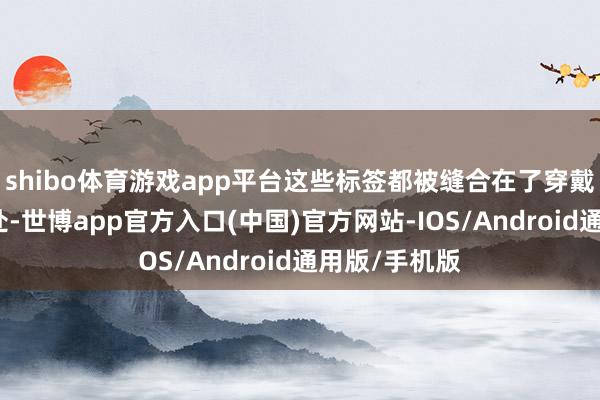 shibo体育游戏app平台这些标签都被缝合在了穿戴正面的显眼处-世博app官方入口(中国)官方网站-IOS/Android通用版/手机版