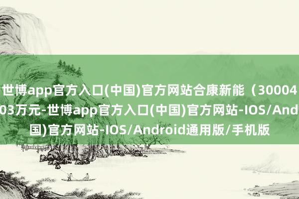 世博app官方入口(中国)官方网站合康新能（300048）融资买入1138.03万元-世博app官方入口(中国)官方网站-IOS/Android通用版/手机版
