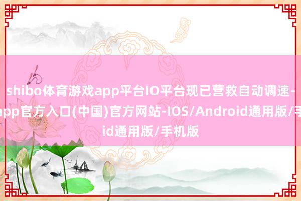 shibo体育游戏app平台IO平台现已营救自动调速-世博app官方入口(中国)官方网站-IOS/Android通用版/手机版