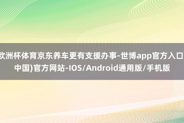 欧洲杯体育京东养车更有支援办事-世博app官方入口(中国)官方网站-IOS/Android通用版/手机版