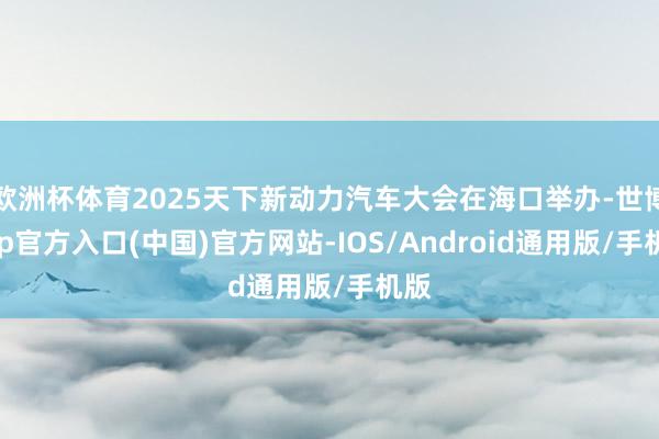 欧洲杯体育2025天下新动力汽车大会在海口举办-世博app官方入口(中国)官方网站-IOS/Android通用版/手机版