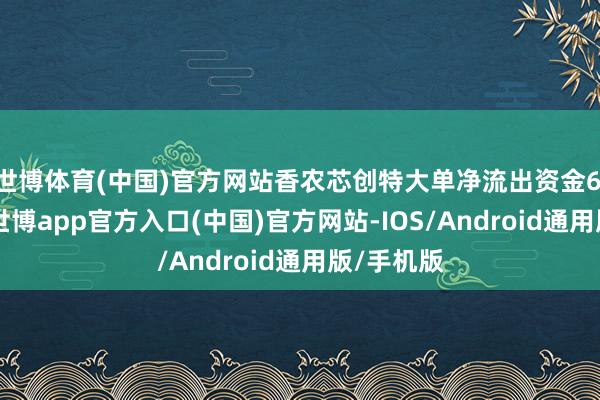 世博体育(中国)官方网站香农芯创特大单净流出资金6.09亿元-世博app官方入口(中国)官方网站-IOS/Android通用版/手机版