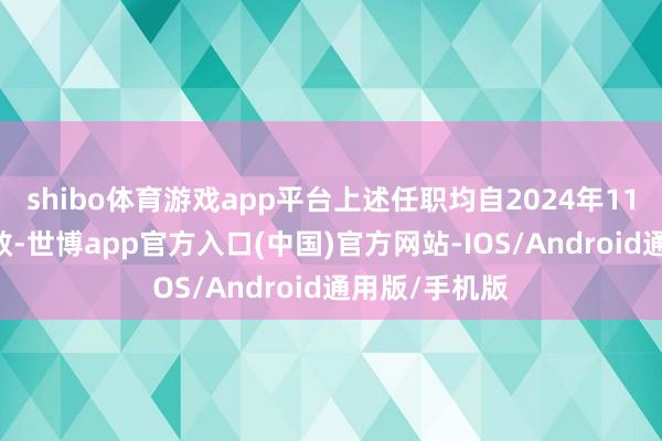 shibo体育游戏app平台上述任职均自2024年11月14日起成效-世博app官方入口(中国)官方网站-IOS/Android通用版/手机版