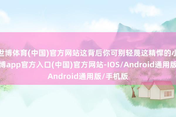 世博体育(中国)官方网站这背后你可别轻蔑这精悍的小飞船-世博app官方入口(中国)官方网站-IOS/Android通用版/手机版