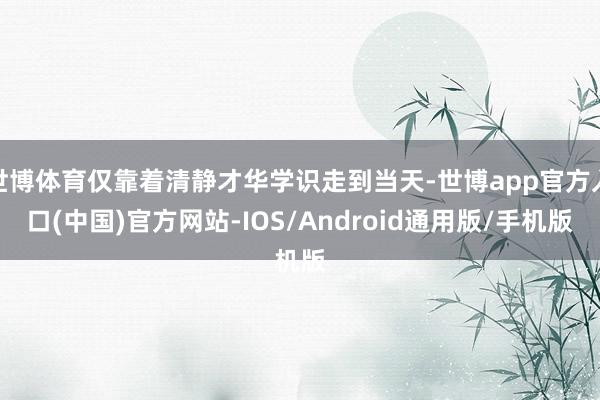 世博体育仅靠着清静才华学识走到当天-世博app官方入口(中国)官方网站-IOS/Android通用版/手机版