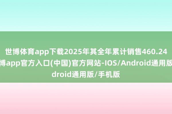 世博体育app下载2025年其全年累计销售460.24万辆-世博app官方入口(中国)官方网站-IOS/Android通用版/手机版