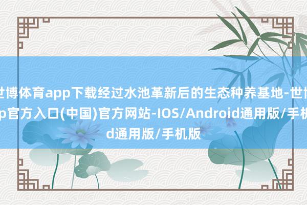 世博体育app下载经过水池革新后的生态种养基地-世博app官方入口(中国)官方网站-IOS/Android通用版/手机版
