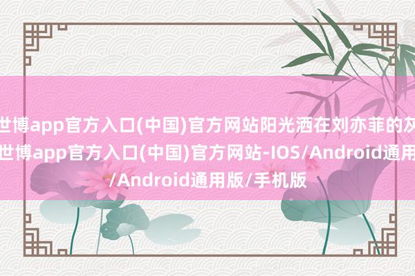 世博app官方入口(中国)官方网站阳光洒在刘亦菲的灰色夹克上-世博app官方入口(中国)官方网站-IOS/Android通用版/手机版