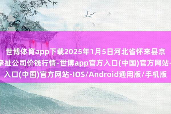 世博体育app下载2025年1月5日河北省怀来县京西果菜批发市集有限牵扯公司价钱行情-世博app官方入口(中国)官方网站-IOS/Android通用版/手机版