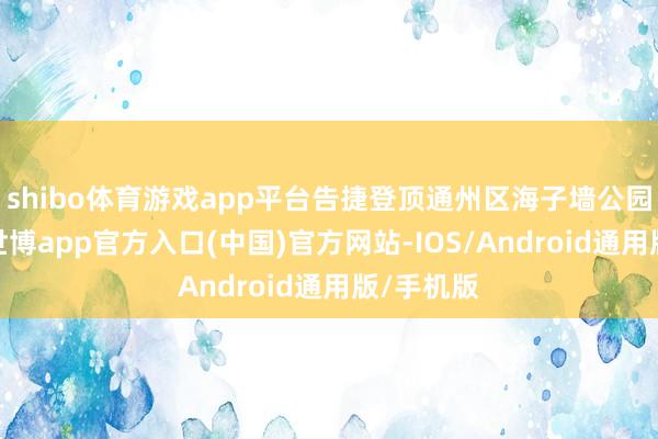shibo体育游戏app平台告捷登顶通州区海子墙公园最高点-世博app官方入口(中国)官方网站-IOS/Android通用版/手机版
