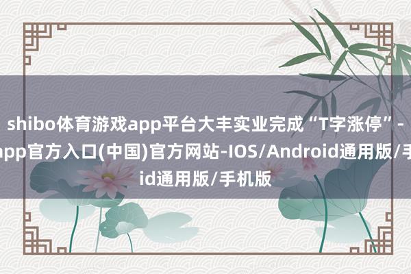 shibo体育游戏app平台大丰实业完成“T字涨停”-世博app官方入口(中国)官方网站-IOS/Android通用版/手机版