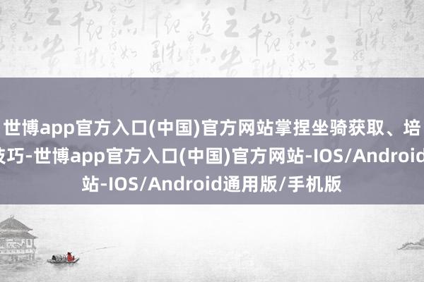 世博app官方入口(中国)官方网站掌捏坐骑获取、培养与实战搭配技巧-世博app官方入口(中国)官方网站-IOS/Android通用版/手机版