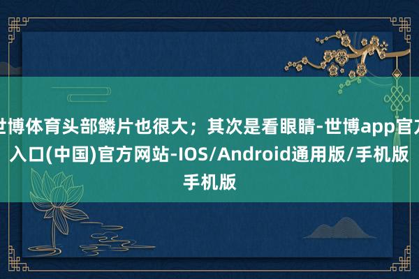 世博体育头部鳞片也很大;其次是看眼睛-世博app官方入口(中国)官方网站-IOS/Android通用版/手机版